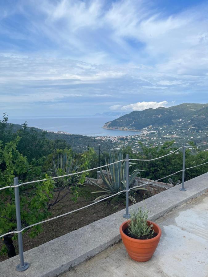 Villa Ouranos In Pefkias Città di Skopelos Esterno foto