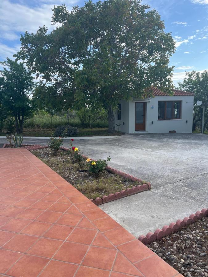 Villa Ouranos In Pefkias Città di Skopelos Esterno foto